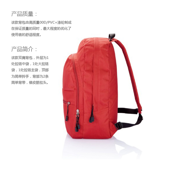 經典簡潔雙肩背包