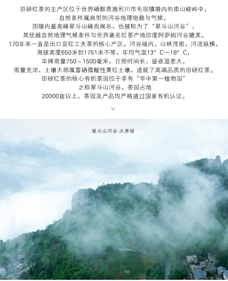 風吟 工夫紅茶
