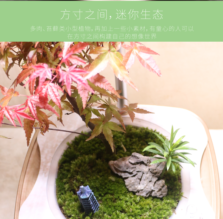 素心智能花盆陶瓷創(chuàng)意爆款個(gè)性室內(nèi)大號(hào)防腐永生盆景