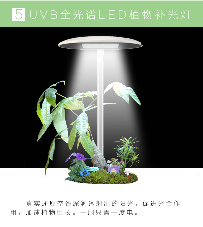 素心智能花盆陶瓷創(chuàng)意爆款個(gè)性室內(nèi)大號(hào)防腐永生盆景