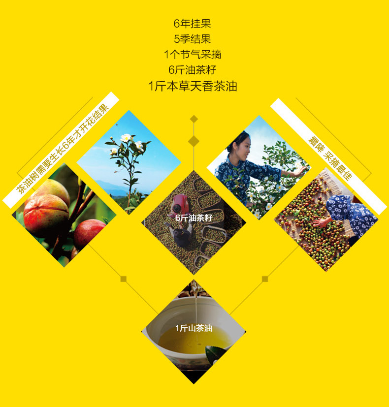 壓榨一級山茶油750ml*2禮盒