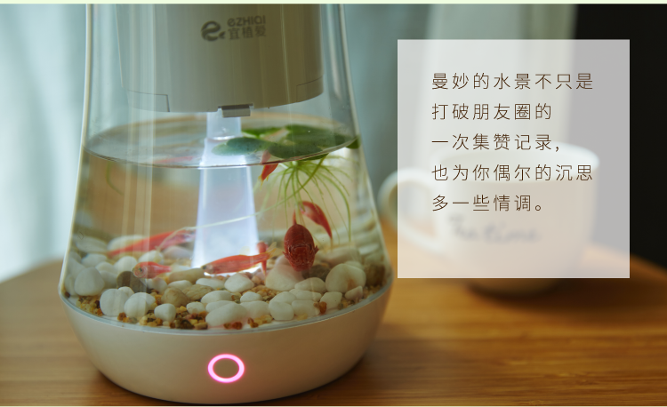植物智能花盆仿陶瓷塑料簡(jiǎn)約創(chuàng)意圓形多肉花盆多彩花瓶防腐