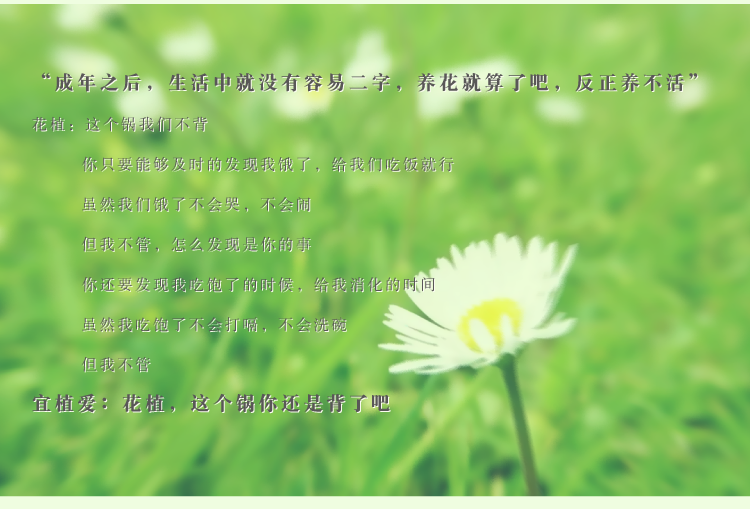 植物智能花盆仿陶瓷塑料簡(jiǎn)約創(chuàng)意圓形多肉花盆多彩花瓶防腐