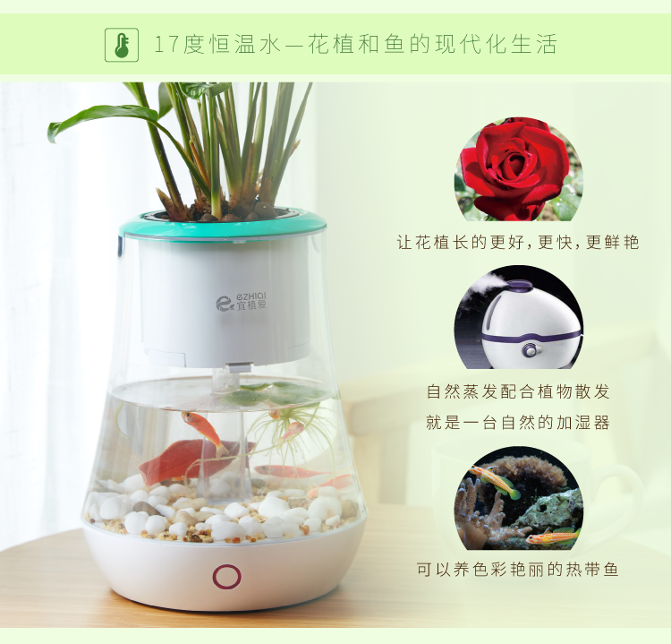 植物智能花盆仿陶瓷塑料簡(jiǎn)約創(chuàng)意圓形多肉花盆多彩花瓶防腐