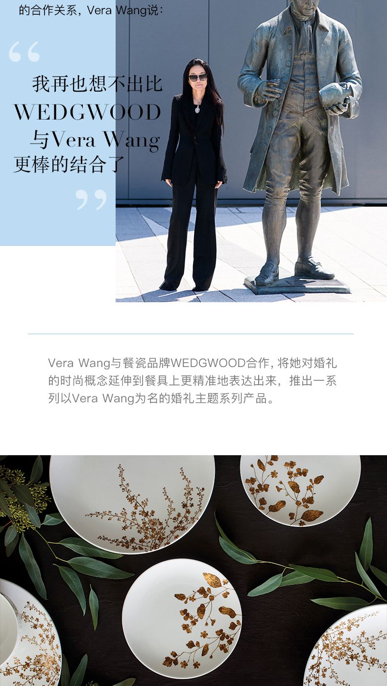 Vera Wang 王薇薇 合作關系